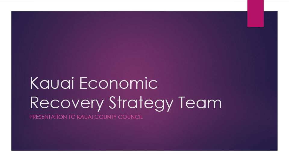 Economic Recovery Strategy Team page-1